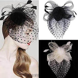 My Beauty Party Fascinator Hair Accessory Feather Clip Hat Flower Lady Veil Wedding Decor